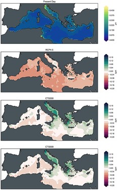 Due pubblicazioni sul progetto Desarc-Maresanus per rimuovere CO2 dall’atmosfera e contrastare l’acidificazione degli oceani